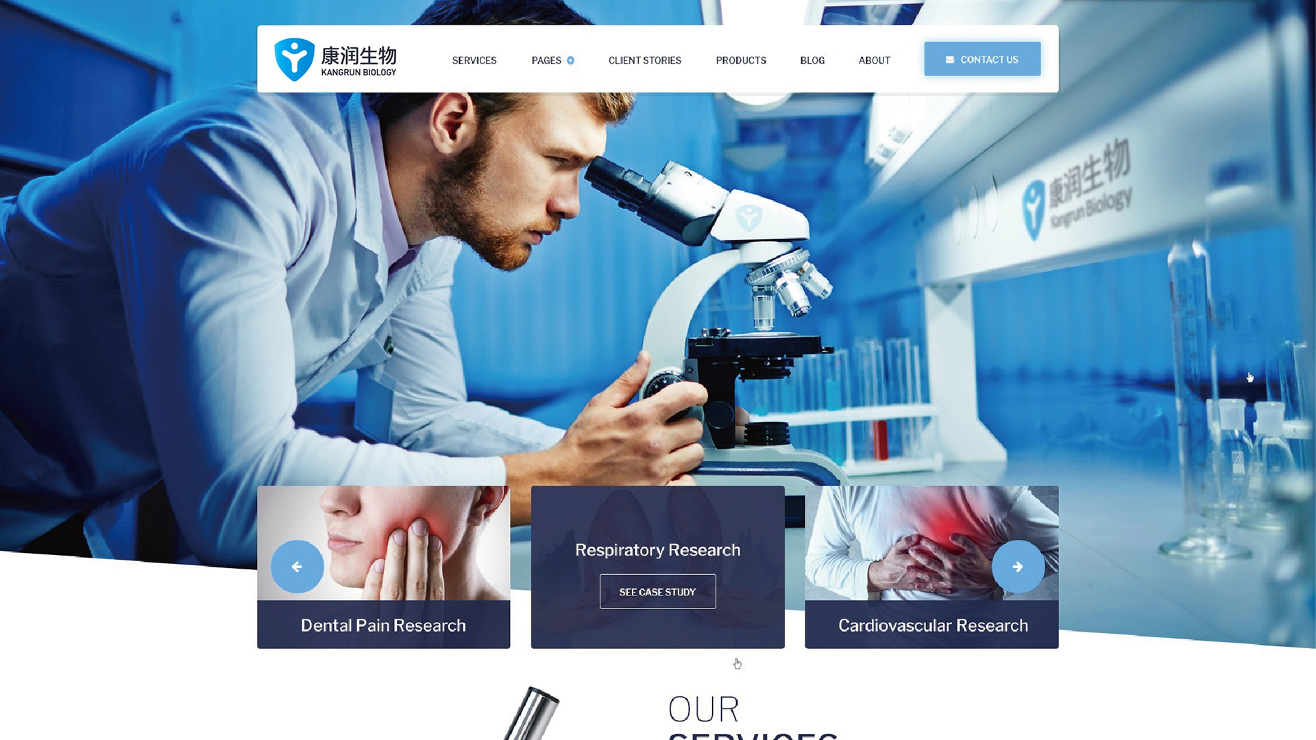 康润生物品牌设计网站设计